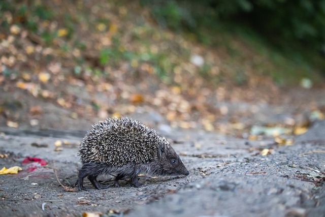 數上超越了 數上超越了