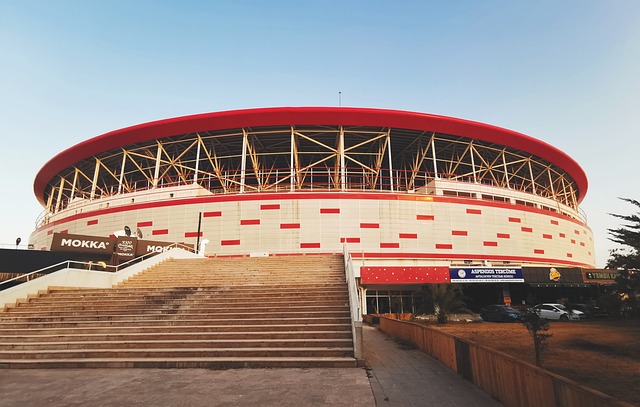 作战的胜率 作战的胜率