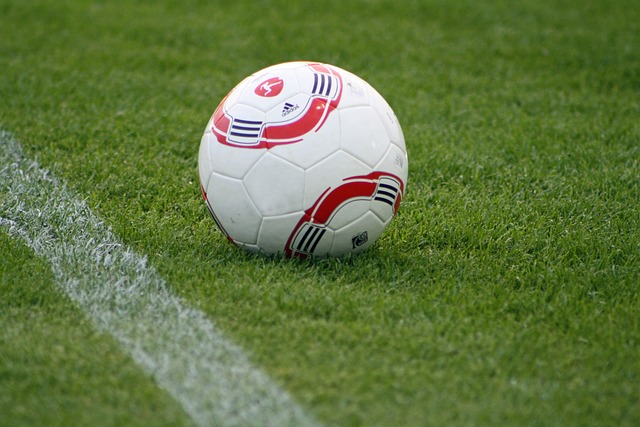 将有机会在 将有机会在