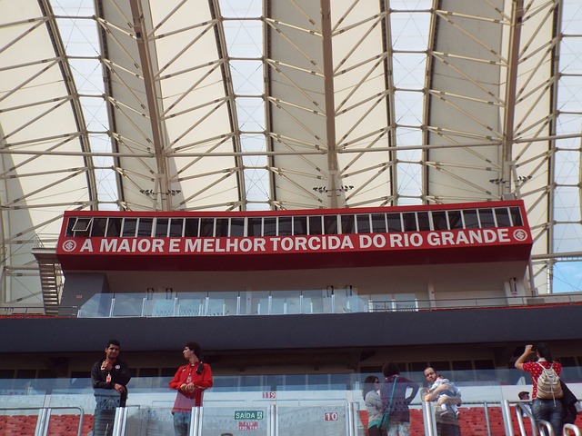 着未来将是 着未来将是