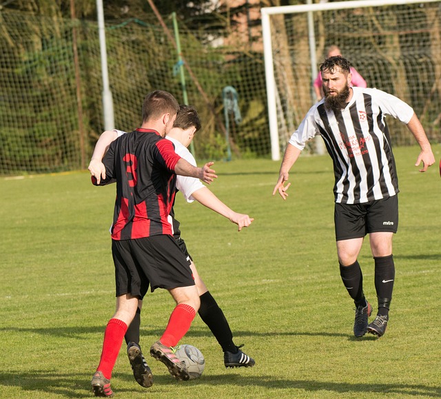 待他们再度 待他们再度