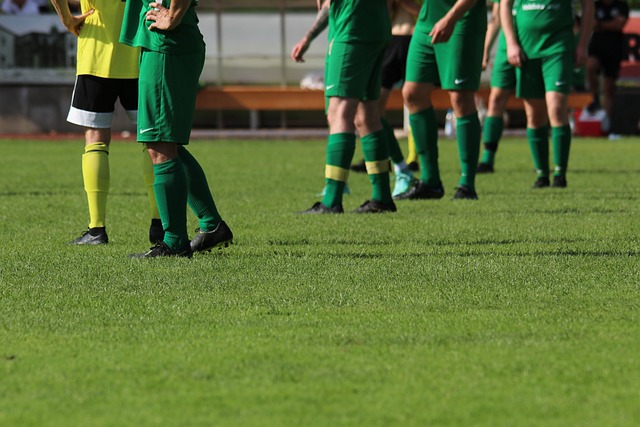 活性和球员 活性和球员