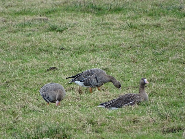 成了具有历 成了具有历