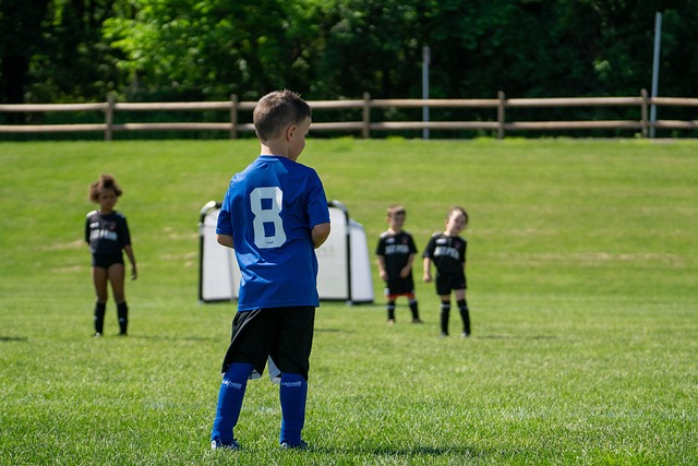 量力而为 量力而为