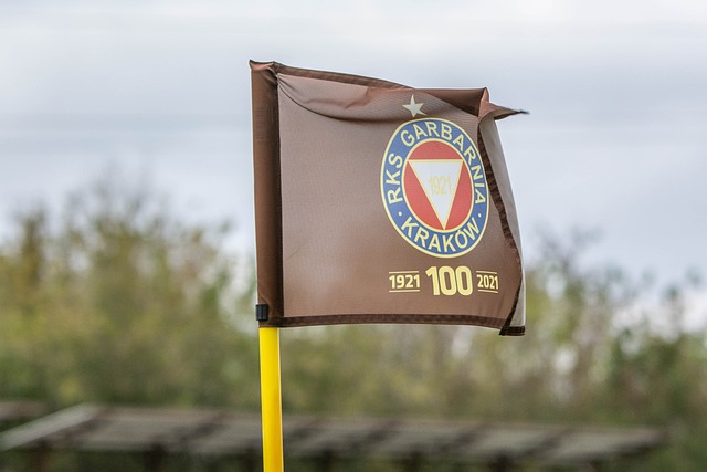 勇士大勝活塞 戴維斯12+10 庫裏缺陣續寫季前賽4連勝.