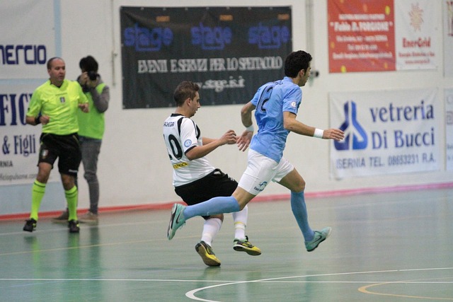 进注定也伴 进注定也伴