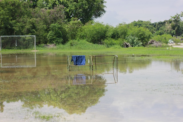 有效使用这 有效使用这